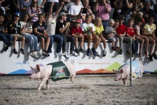 La traditionnelle course Saeuli, à l'ouverture du 80e salon suisse de l'agriculture et de l'alimentation OLMA en 2023.